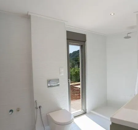 Eucalyptus 2019 Beachfront *