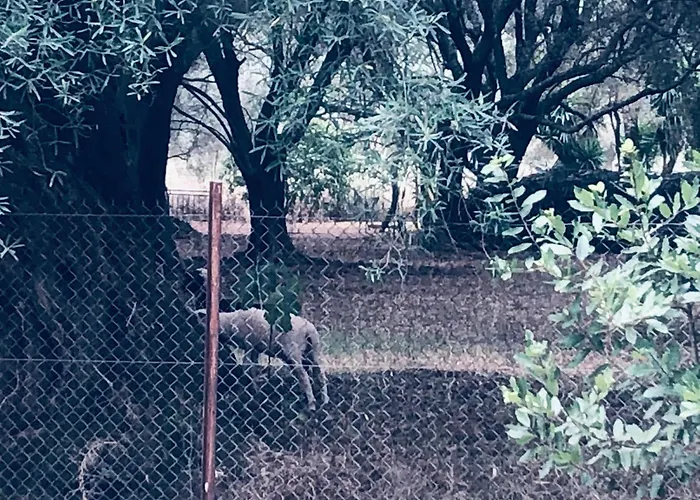 Eucalyptus -- Agios Ioannis Beachfront דירה *