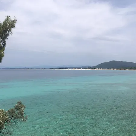 Eucalyptus -- Agios Ioannis Beachfront