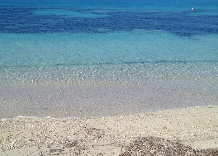公寓 Eucalyptus -- Agios Ioannis Beachfront *